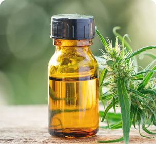 CBD Oil